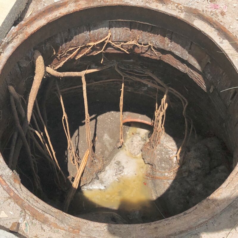 Brick manhole before SewperCoat rehabilitation with severe root intrusion and groundwater infiltration